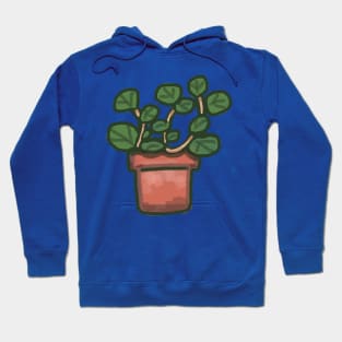 Pilea Hoodie